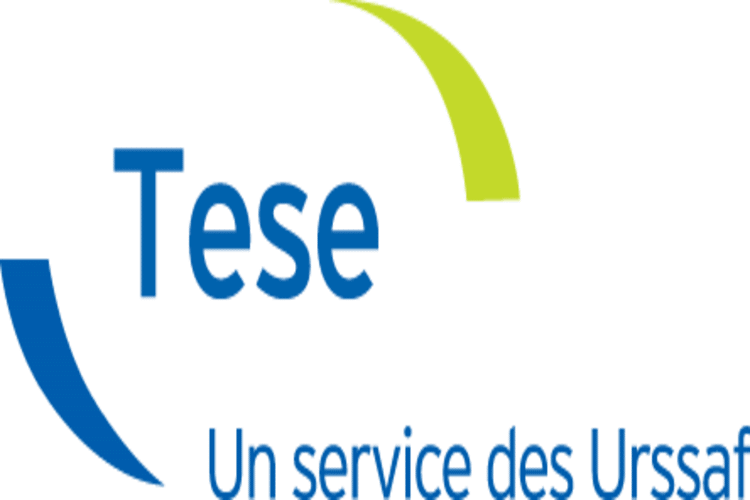 Gestion de la paie : le tese