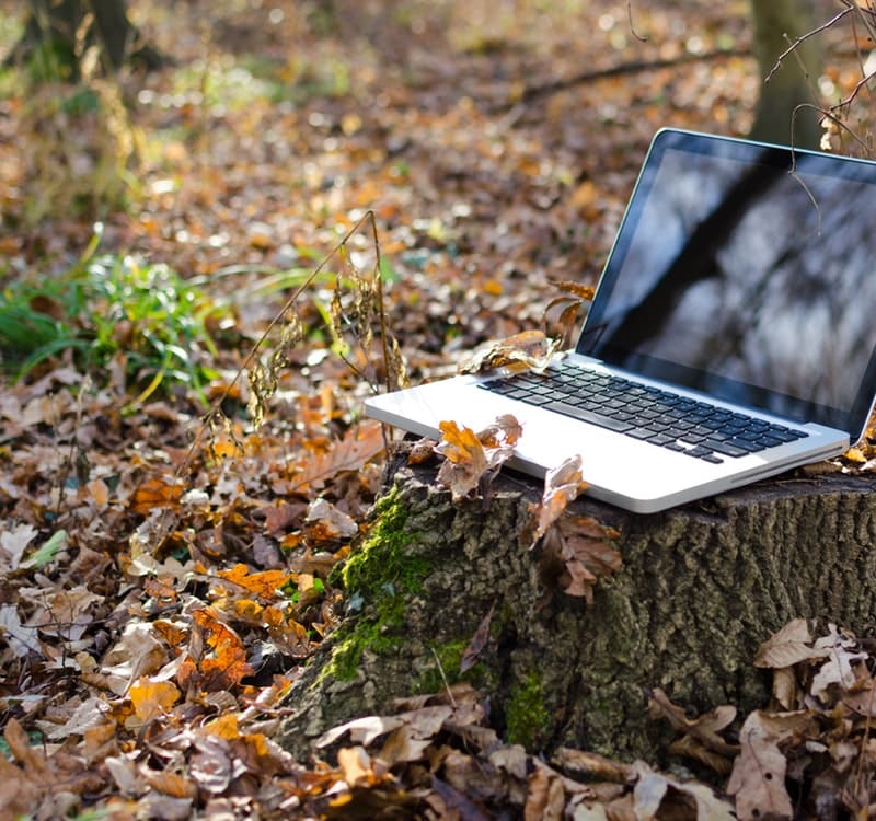 Le design biophilique anime les espaces de travail