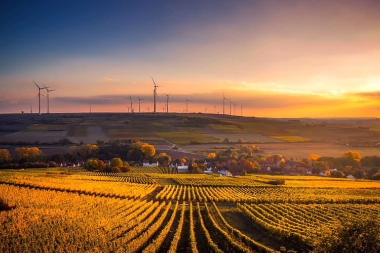 Impact sourcing en France
